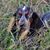 Annie Jensen Cluck's profile image