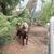 Cathy Scripter's profile image