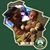 Carol D'Acquisto's profile image
