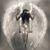 Mary Boehnel's profile image