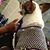 Trinidad Davis-Garber's profile image