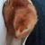 Shawn Ouradnik's profile image
