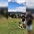 Bryan Agreda's profile image
