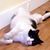 Teri Leigh West-Barber's profile image