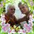 Barbara Harris's profile image