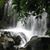 Lynn Meyer Shonhart's profile image