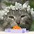 Nancy E. Mitzen's profile image