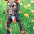Julie Jurkas's profile image