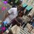Nikki Cozzens Roberts's profile image