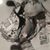 Carol Parnell's profile image