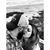 Nicole Maiale's profile image