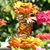Gladys Scull Bradfield's profile image