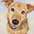 Avis Ayers's profile image
