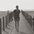 Lucie Carpentier's profile image