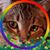 Patti Joyce's profile image