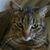 Rhonda Astrowski's profile image