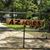 Patricia Watters Hall's profile image