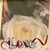 Gloria Hagenbuch's profile image