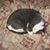 Regina Venner's profile image