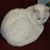Becky Kerr Dana's profile image