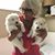 Sandy Garlinger's profile image