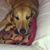 Michelle Powers Hogue's profile image