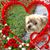 Suzi Dunetz's profile image