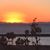 Jana Polsky Deneroff's profile image