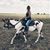 Taryn Bracey Mackey's profile image