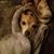 Kimberly Hunt Kidd's profile image