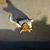 Jeff Otterberg's profile image