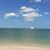 Loretta Mervis's profile image