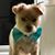 Mikki Proksch's profile image