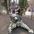 Dorothy Adkins's profile image