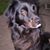 Ann Souza's profile image