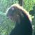 Danyelle Battles's profile image