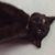 Katie Hayes Holt's profile image