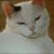 Terry Farkas's profile image