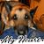 Lori Bitzer Helwig's profile image