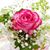 Patricia Gilbert's profile image