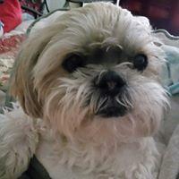 Dawn R.'s profile image