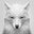 Mont Spolsky's profile image