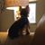MerryLou Wilkins's profile image