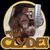 David Rau's profile image
