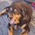 Kristine Shirley Sahms's profile image
