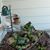 Delaine Sanchez's profile image