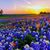 Cheryl Partida's profile image