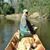 Bob Dickert's profile image