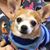 Debra Levy's profile image