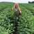 Anita N Steve Brunson's profile image
